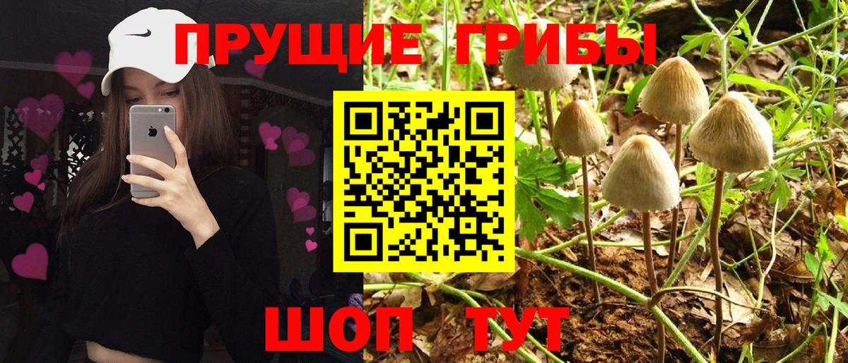 Фурманов  Псилоцибиновые грибы Magic Shrooms  Вход с VPN 